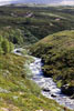 Wandelend langs de rivier door Rondane Nasjonal Park door deze mooie natuur