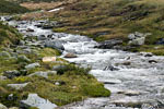 De snelstromende rivier zonder brug in Rondane Nasjonal Park in Noorwegen