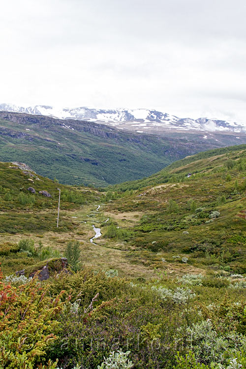 De eeuwige sneeuw in deze schitterende natuur van Jotunheimen NP in Noorwegen