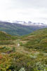 De eeuwige sneeuw in deze schitterende natuur van Jotunheimen NP in Noorwegen