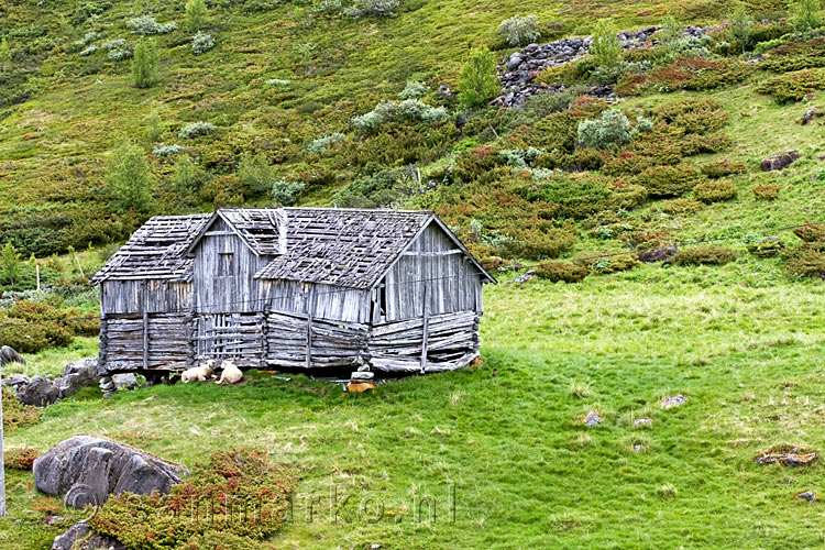 Een oude schuilhut in Jotunheimen NP tussen Lom en Skjolden in Noorwegen