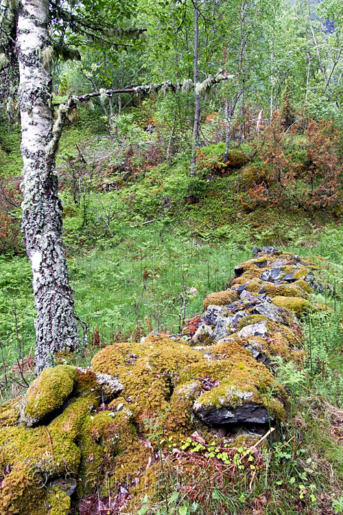 De schitterde natuur rondom de oude koningsweg in het Lærdal in Noorwegen