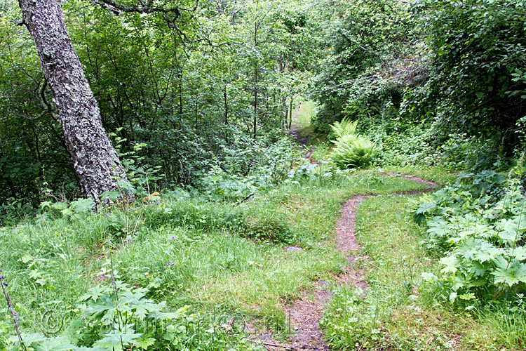 Het wandelpad door het Lærdal door de schittenende natuur