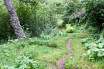 Het wandelpad door het Lærdal door de schittenende natuur