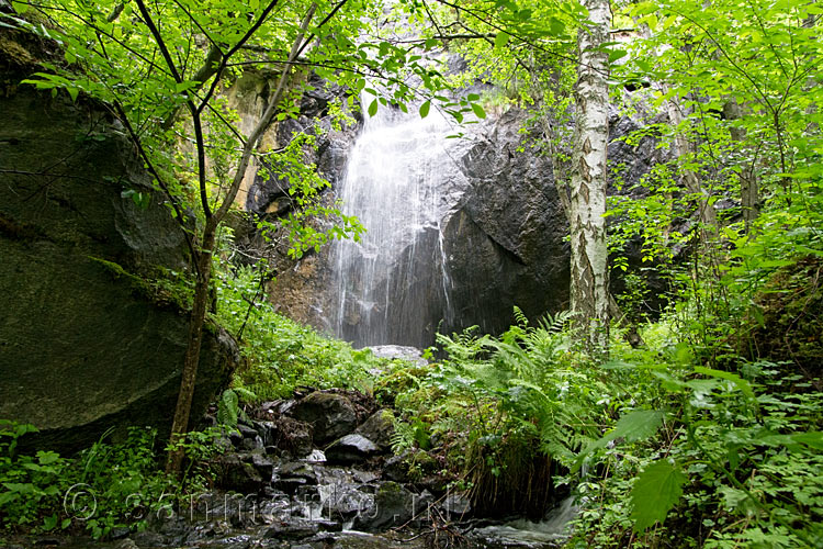 Verscholen vinden we deze schitterende waterval langs het wandelpad