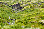 De schitterende groene natuur bij Tyin-Filefjell bij het Lærdal