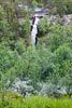 Vanaf de andere kant van de rivier de brug over de Fallfossen in Rondane NP