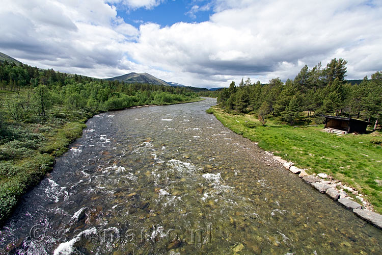 De rivier Grimse in Grimsdalen in Rondane Nasjonal Park in Noorwegen