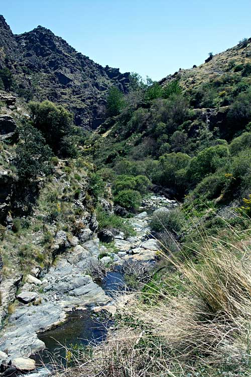 De Río Grande bij Bérchules in de Alpujarras in Spanje