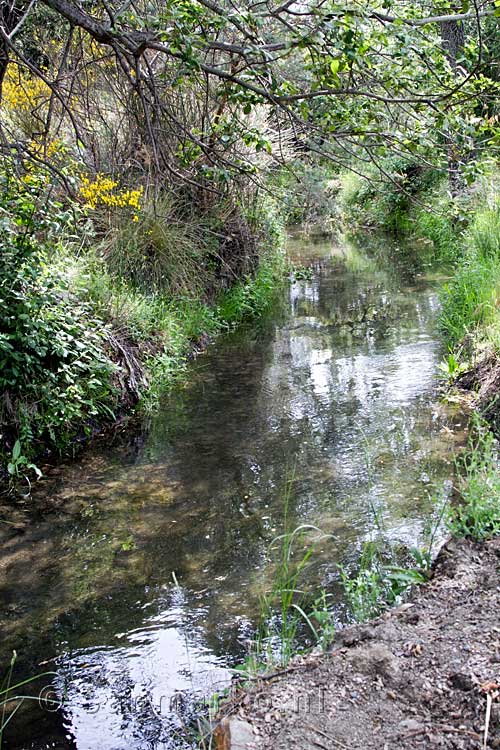 Een leuke waterweg langs het wandelpad in het bos van Busquístar