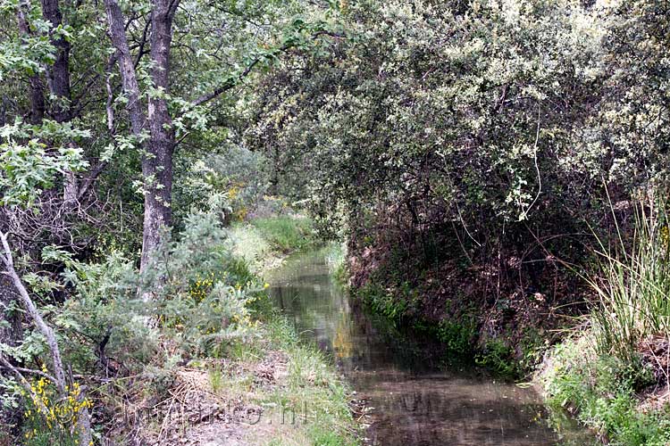 De mooie natuur in de omgeving van Busquístar en Pórtugos