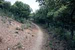 Het wandelpad door de bossen van Busquístar naar Pórtugos