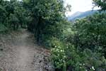 Het wandelpad door het bos bij Busquístar en Pórtugos in de Alpujarras