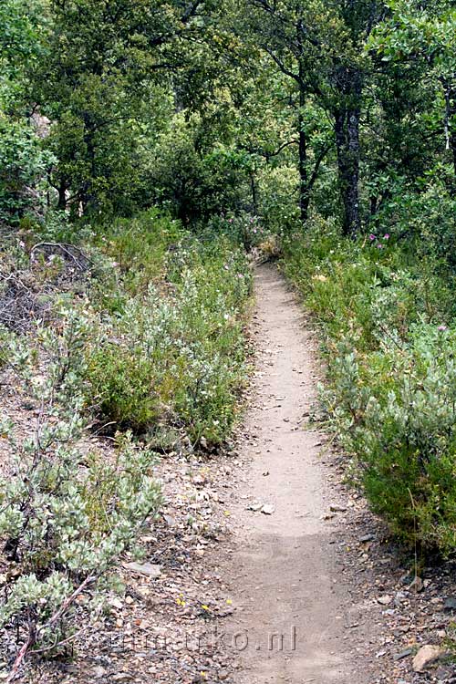 Het wandelpad van Busquístar naar Pórtugos in de Alpujarras in Spanje