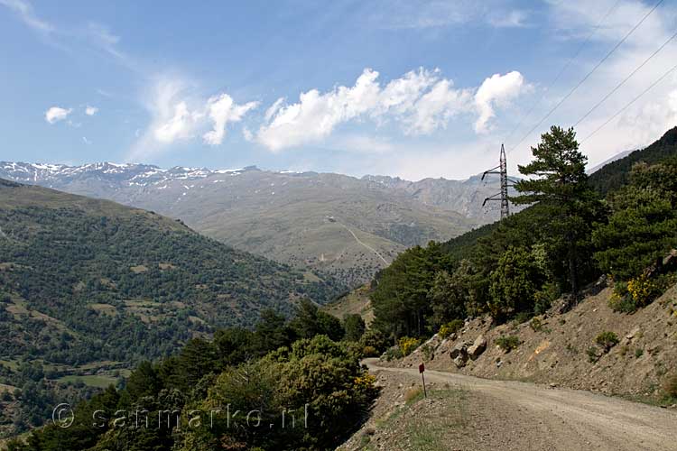 Het wandelpad door het dennenbos bij Capileira in de Sierra Nevada