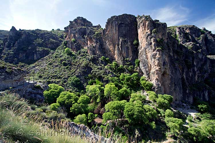 Het uitzicht over de Los Cahorros de Monachil in de Sierra Nevada in Spanje