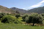 Het laatste uitzicht over de olijfbomen en de Los Cahorros bij Granada in Spanje