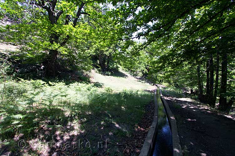 Door het bos lopen we langs de waterweg terug naar Mecina-Bombarón in Spanje