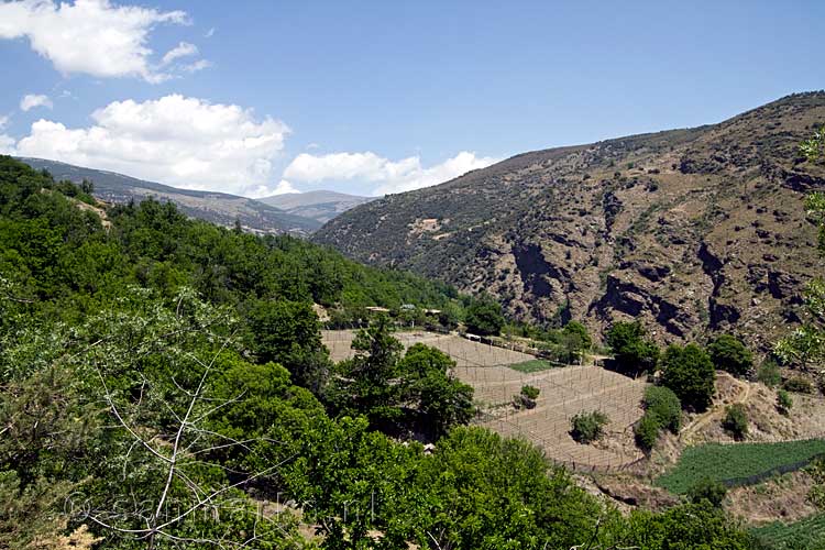 Een grote boerderij midden in het Nationale Park Sierra Nevada bij Mecina-Bombarón