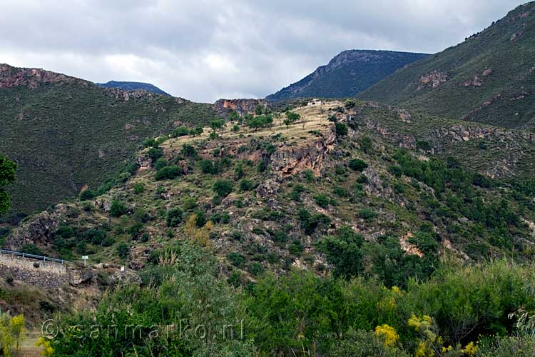 De mooie natuur rondom de Ruta de los olivos centenarios bij Orgiva