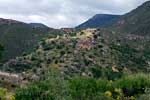 De mooie natuur rondom de Ruta de los olivos centenarios bij Orgiva