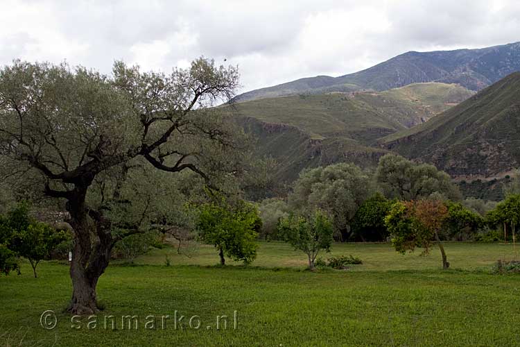 Het uitzicht vanaf het wandelpad van de Ruta de los olivos centenarios bij Orgiva