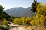 We wandelen over de onverharde weg met een mooi uitzicht over de Sierra Nevada bij Orgiva