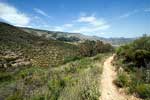 En wandelpad vol met bloemen en een mooi uitzicht over de Alpujarras