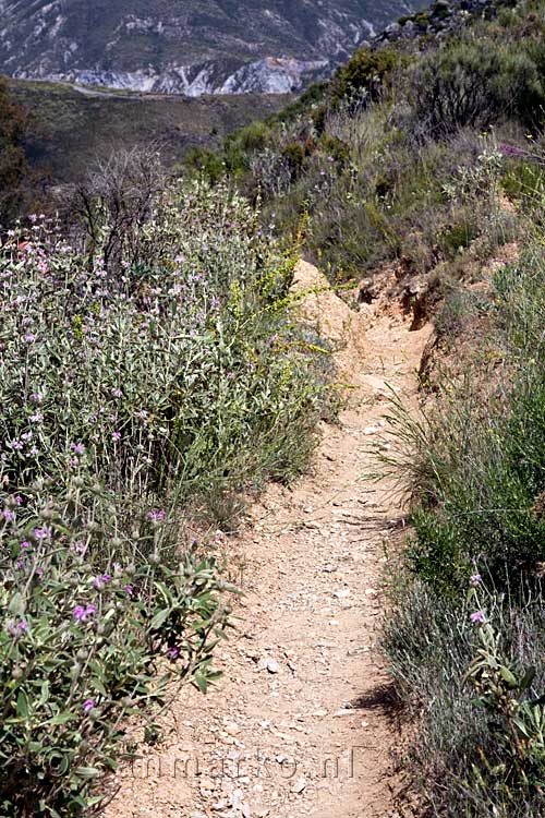 Langs een bloemrijk wandelpad wandelen we naar Orgiva in de Sierra Nevada