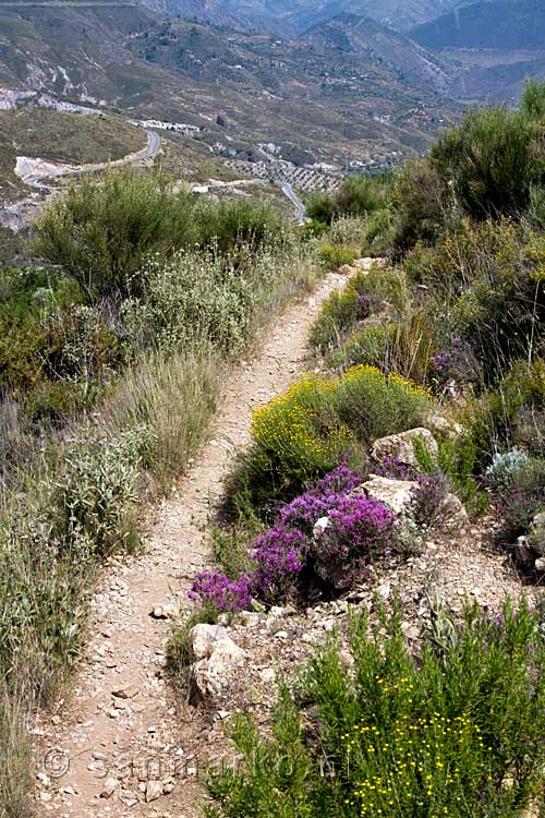 Het wandelpad terug naar Orgiva tijdens onze rondwandeling door de Alpujarras