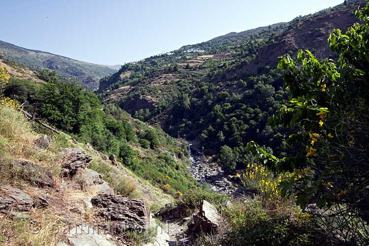 Het uitzicht op Capileira vanaf sendero local La Atalaya bij Pampaneira