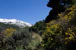 Het wandelpad richting Puente Palo in de Alpujarras in Spanje