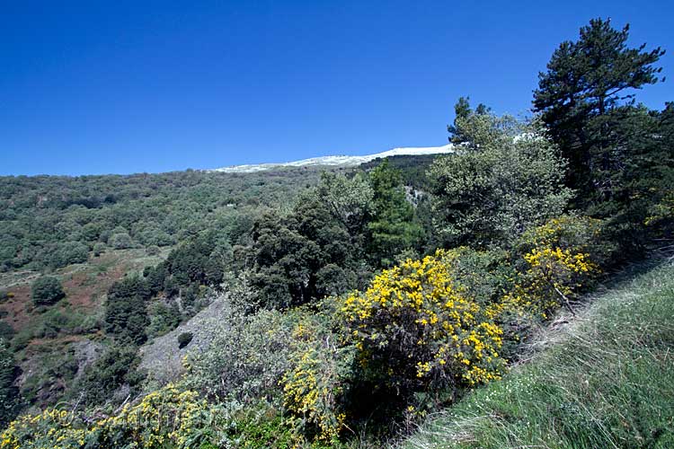 Een van de vele mooie uitzichten tijdens deze wandeling bij Soportújar in de Sierra Nevada