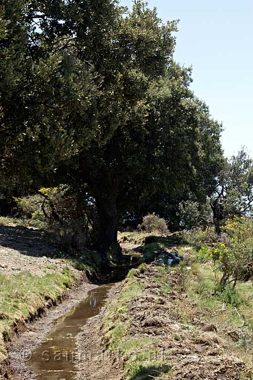 Langs de waterweg lopen we terug naar de Casa Forrestal bij Soportújar