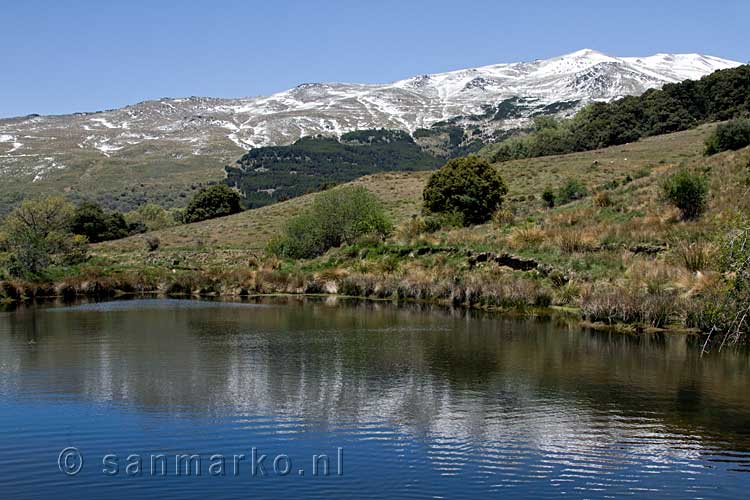 Een bergmeertje met heel veel kikkers bij Puente Palo in de Alpujarras