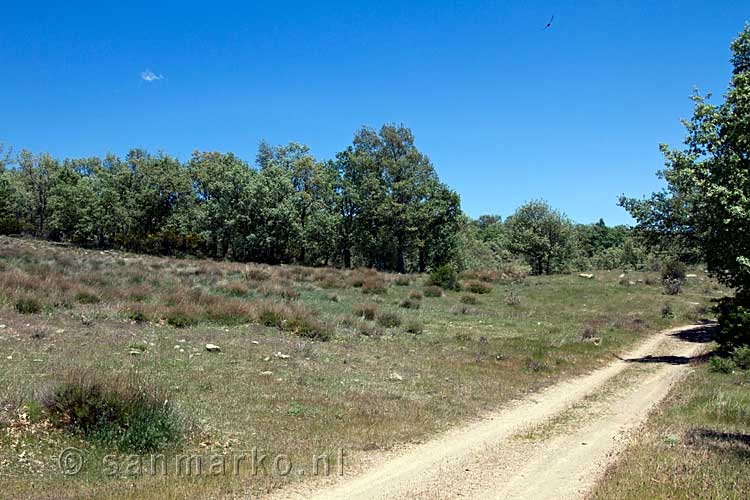 We wandelen bij Puente Palo door de mooie natuur van de Alpujarras