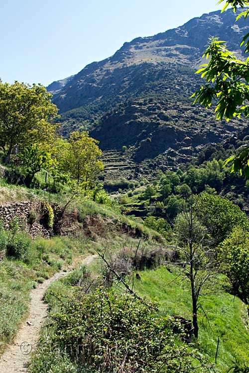 Het wandelpad vanaf Trevélez naar de vallei van de Rio Trevélez in Spanje