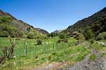 De mooie natuur in de Rio Trevélez vallei bij Trevélez in de Alpujarras in Spanje