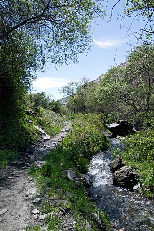 Het wandelpad langs de Rio Trevélez in de Alpujarras in Spanje