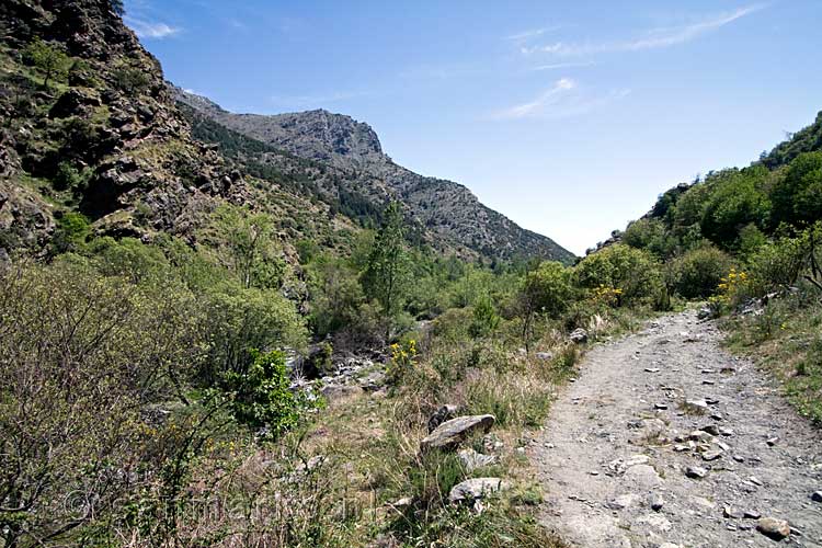 Het wandelpad door de Barranco de Rio Trevélez in de Sierra Nevada in Spanje