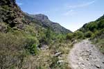 Het wandelpad door de Barranco de Rio Trevélez in de Sierra Nevada in Spanje
