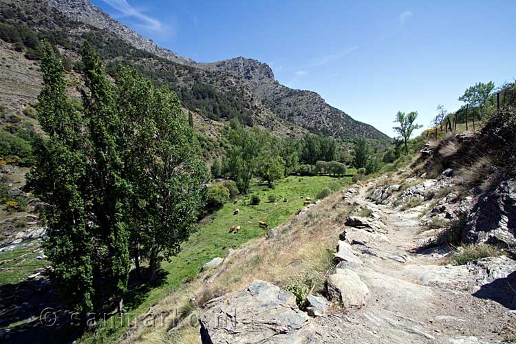 Het wandelpad terug naar Trevélez tijdens de wandeling langs de Rio Trevélez