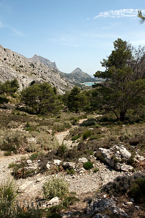 Het uitzicht vanaf coll de L'Ofre op de Puig Major en het Cúber meer