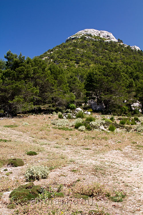 Vanaf Coll de L'Ofre is het nog maar 200 meter naar de top van de L'Ofre