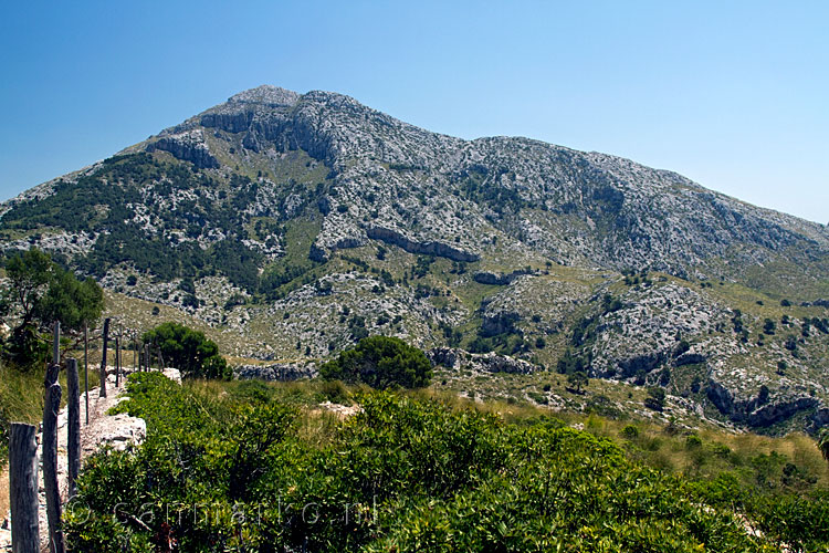 Vanaf de kruising van wandelpaden een uitzicht op de Galatzó