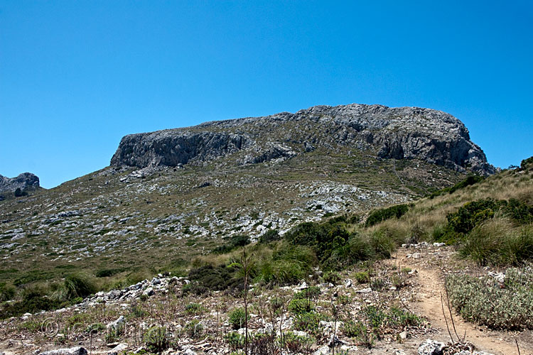 Ons einddoel: de top van Mola de S'Esclop op Mallorca