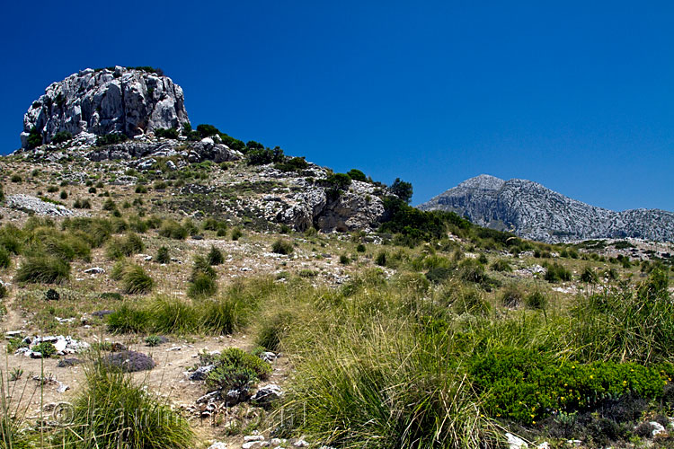 Het uitzicht vlak voor de beklimming naar de top van Mola de S'Esclop