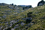 Het wandelpad door de, met gras begroeide rotsen van Mallorca