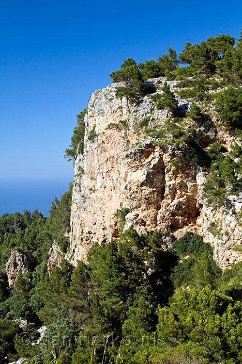 Steile bergwanden in het langschap bij Mola de S'Esclop en Galatzó op Mallorca