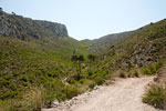 De mooie natuur tijdens de rondwandeling van La Trapa naar S'Arracó op Mallorca